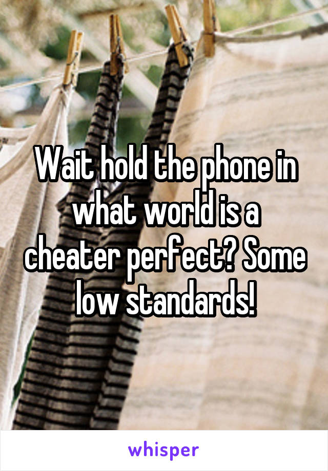 Wait hold the phone in what world is a cheater perfect? Some low standards!