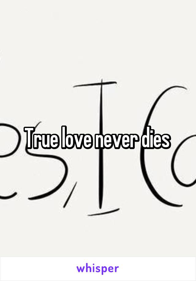 True love never dies 