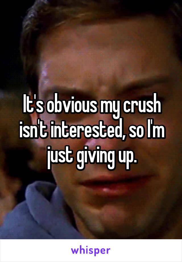 It's obvious my crush isn't interested, so I'm just giving up.