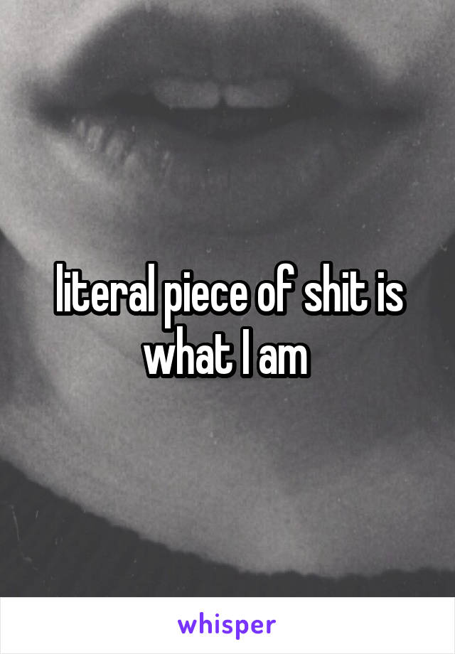 literal piece of shit is what I am 