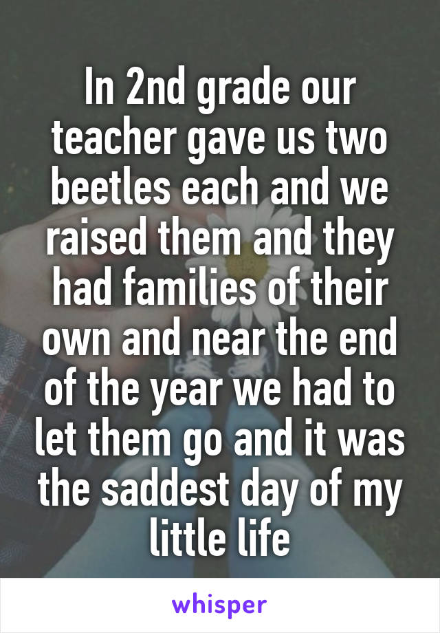 In 2nd grade our teacher gave us two beetles each and we raised them and they had families of their own and near the end of the year we had to let them go and it was the saddest day of my little life