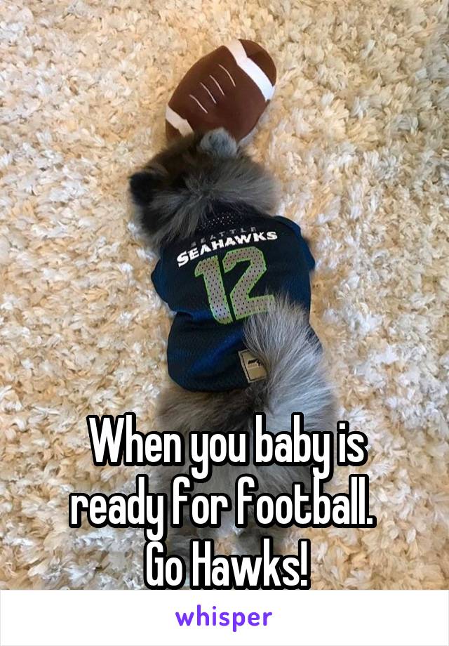 





When you baby is ready for football. 
Go Hawks!