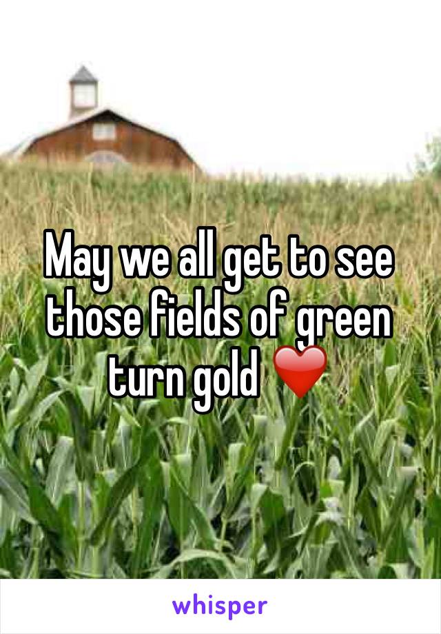 May we all get to see those fields of green turn gold ❤️