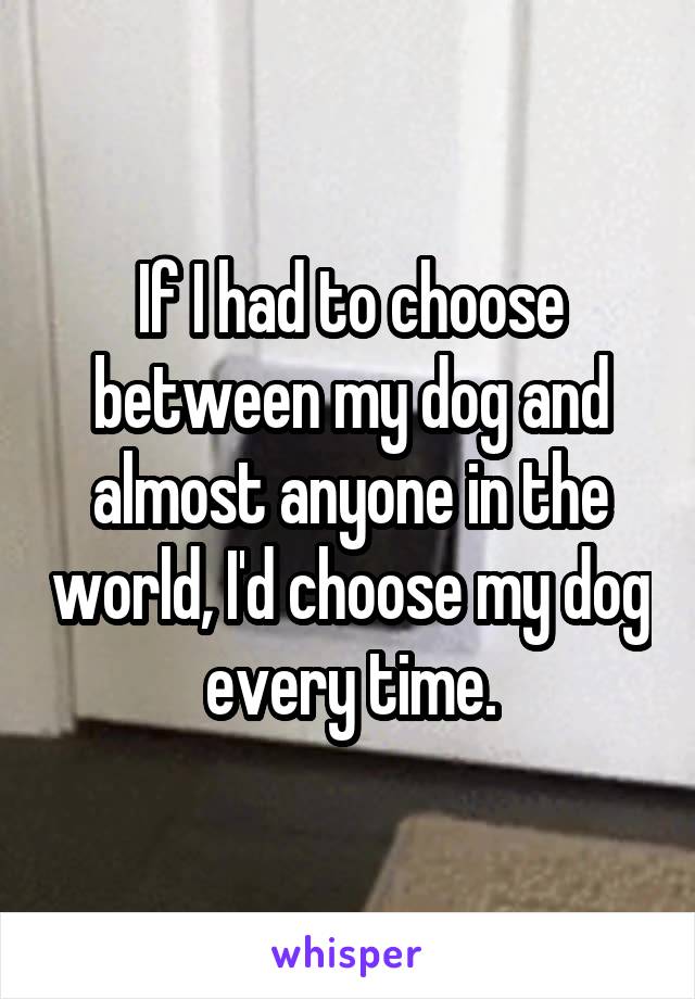 If I had to choose between my dog and almost anyone in the world, I'd choose my dog every time.