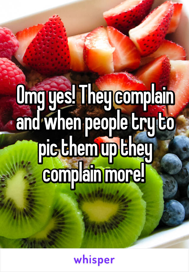 Omg yes! They complain and when people try to pic them up they complain more! 