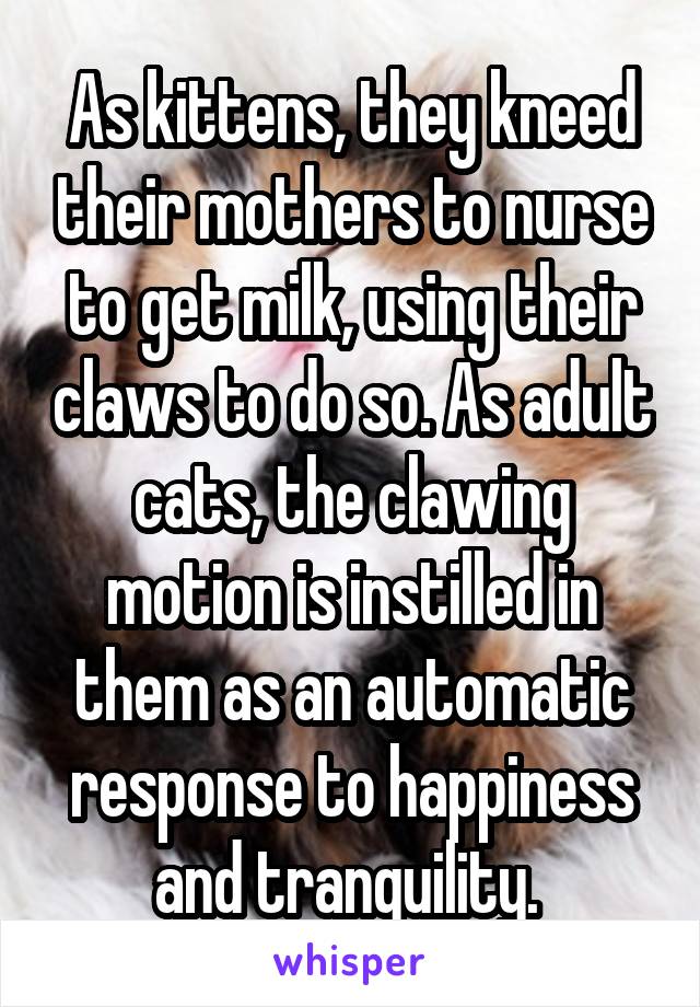 As kittens, they kneed their mothers to nurse to get milk, using their claws to do so. As adult cats, the clawing motion is instilled in them as an automatic response to happiness and tranquility. 