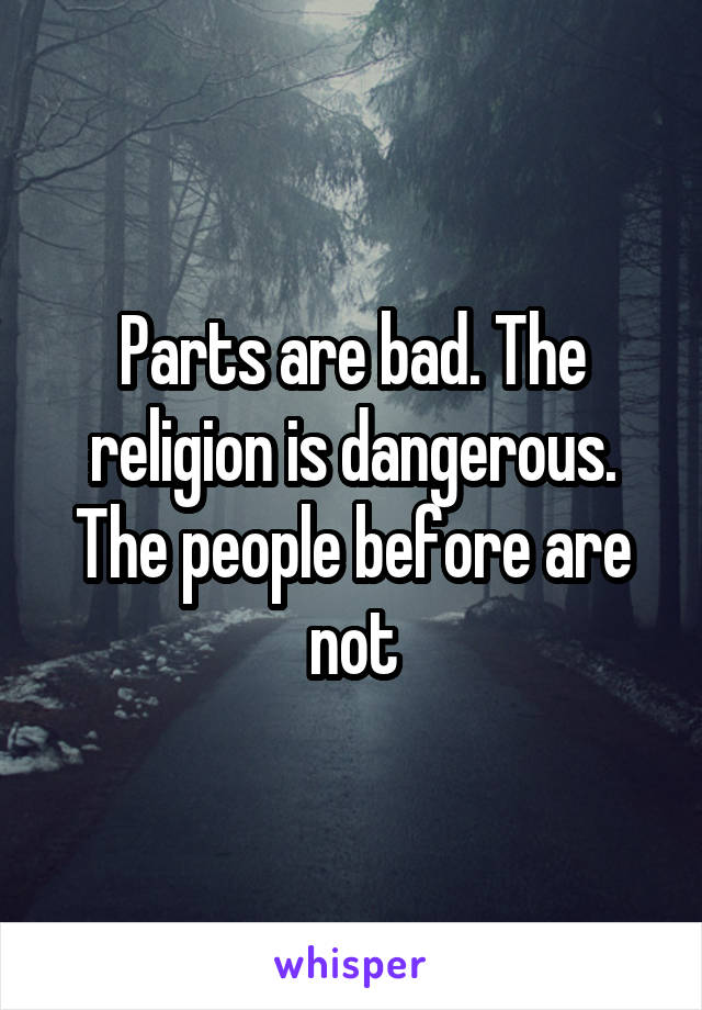 Parts are bad. The religion is dangerous. The people before are not