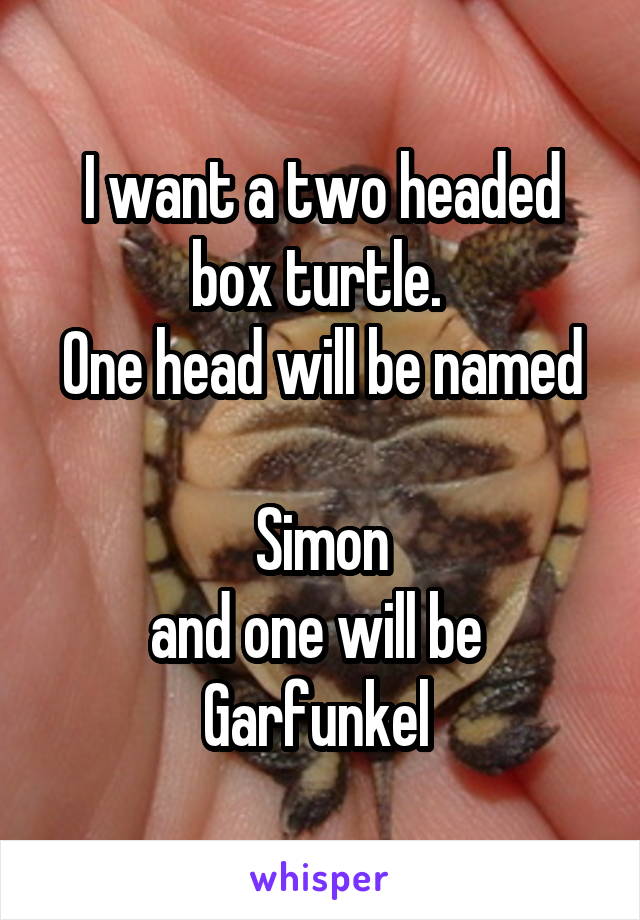 I want a two headed box turtle. 
One head will be named 
Simon
and one will be 
Garfunkel 