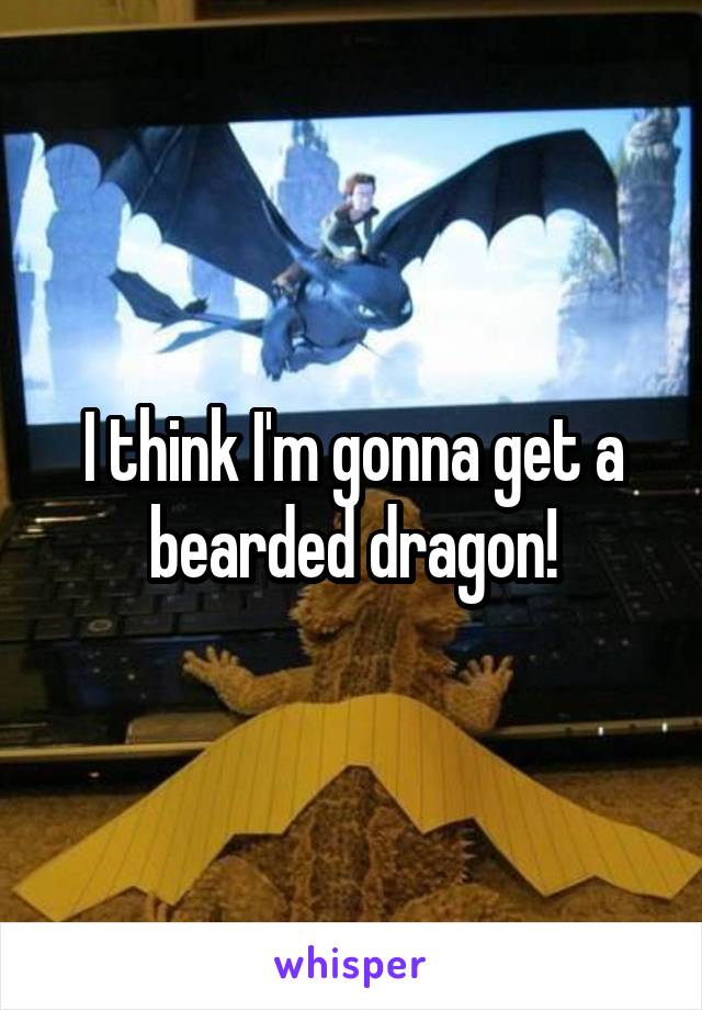 I think I'm gonna get a bearded dragon!