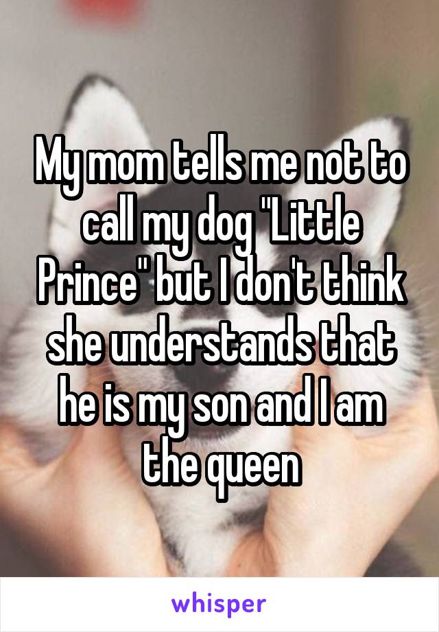 My mom tells me not to call my dog "Little Prince" but I don't think she understands that he is my son and I am the queen