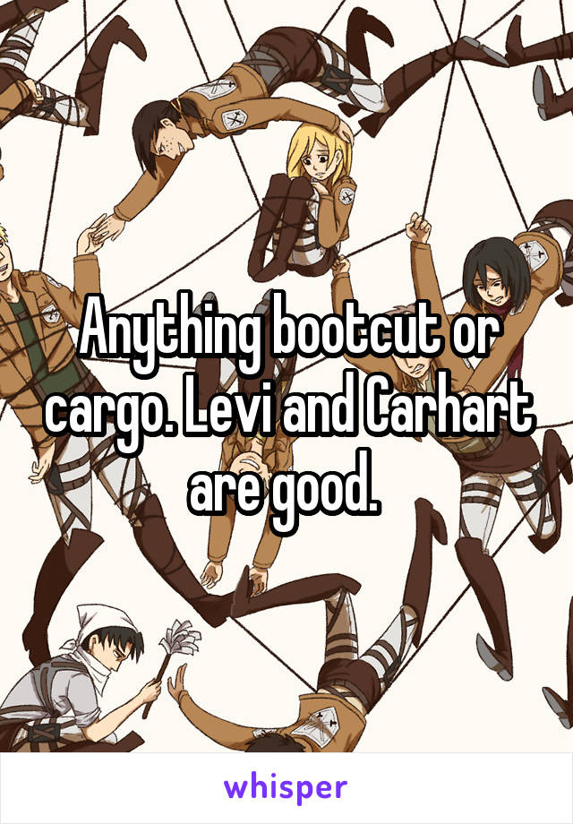 Anything bootcut or cargo. Levi and Carhart are good. 
