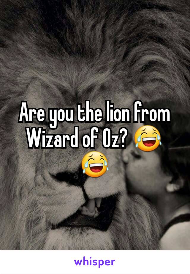 Are you the lion from Wizard of Oz? 😂😂