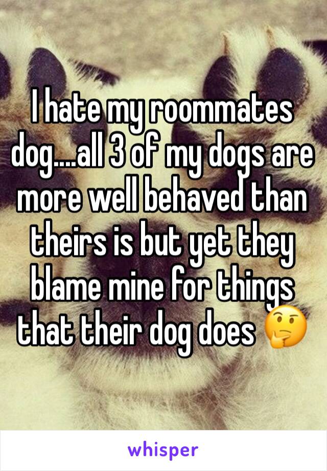 I hate my roommates dog....all 3 of my dogs are more well behaved than theirs is but yet they blame mine for things that their dog does 🤔