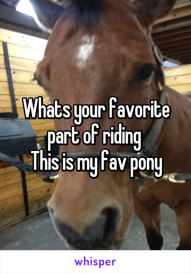 Whats your favorite part of riding 
This is my fav pony