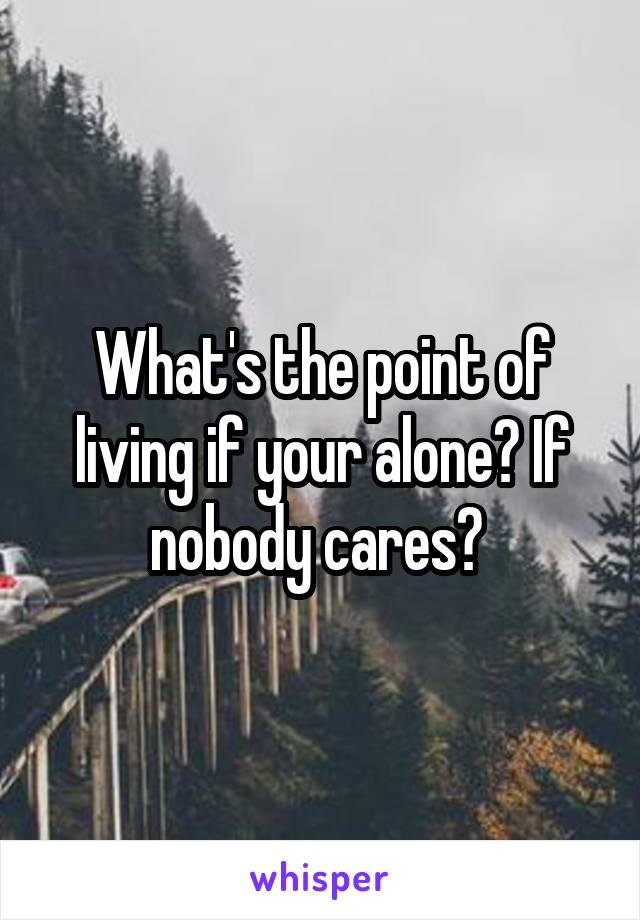 What's the point of living if your alone? If nobody cares? 