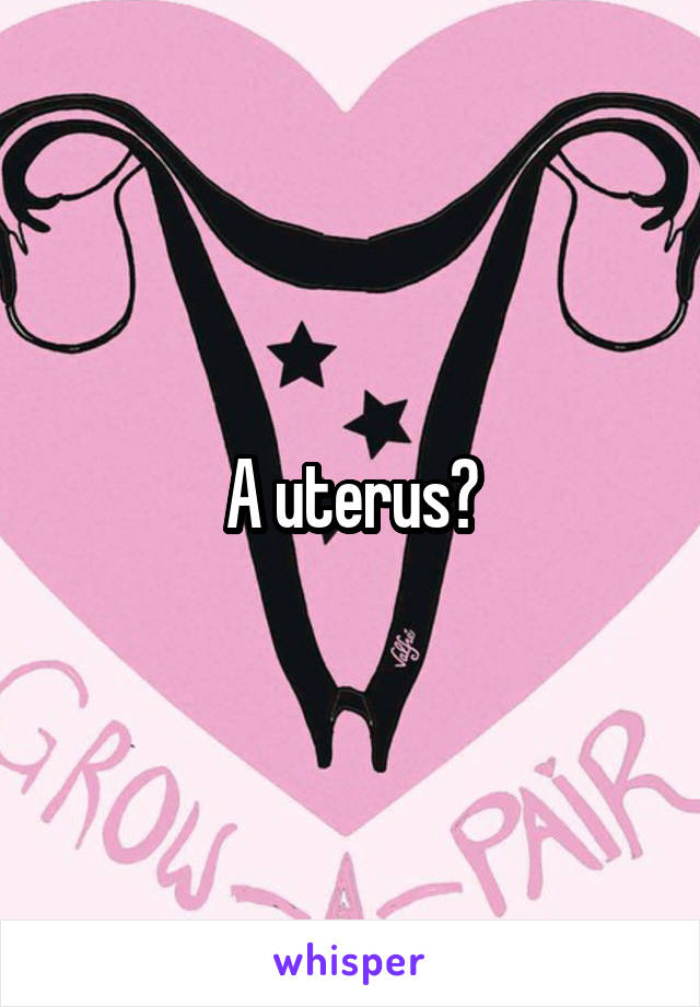A uterus?