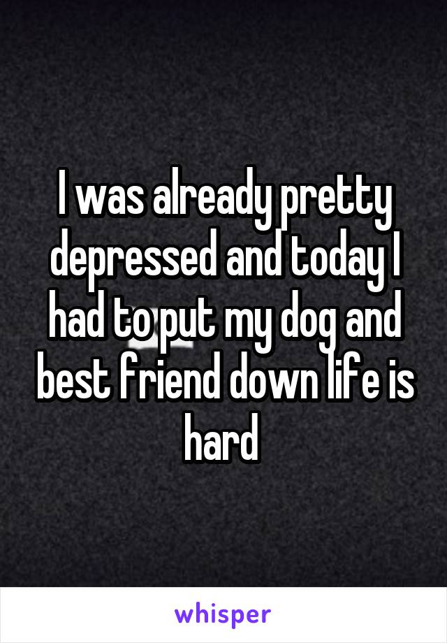 I was already pretty depressed and today I had to put my dog and best friend down life is hard 
