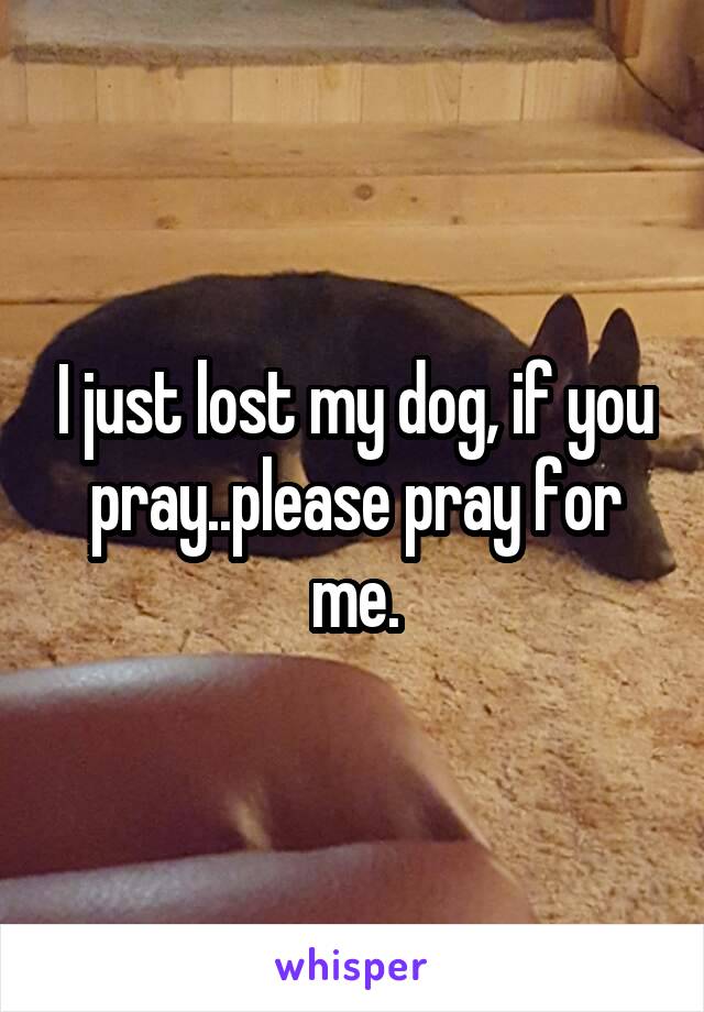 I just lost my dog, if you pray..please pray for me.