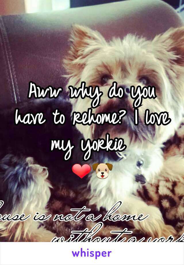 Aww why do you have to rehome? I love my yorkie 
❤🐶
