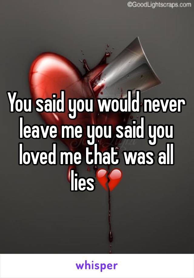 You said you would never leave me you said you loved me that was all lies💔