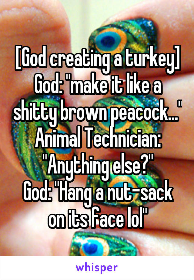 [God creating a turkey]
God: "make it like a shitty brown peacock..."
Animal Technician: "Anything else?"
God: "Hang a nut-sack on its face lol"