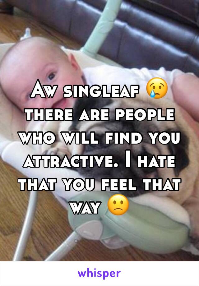 Aw singleaf 😢 there are people who will find you attractive. I hate that you feel that way 🙁