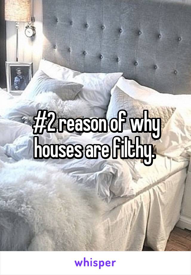 #2 reason of why houses are filthy. 