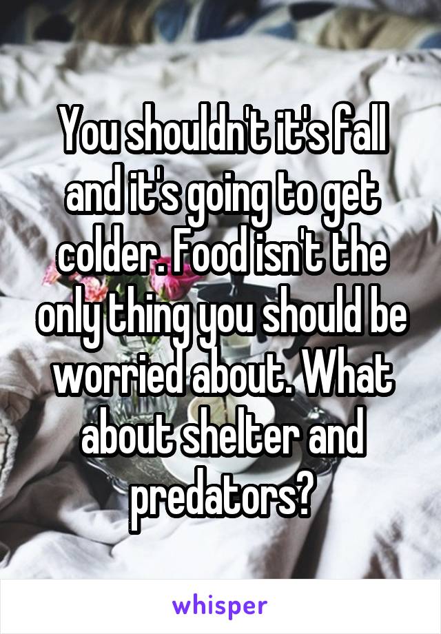 You shouldn't it's fall and it's going to get colder. Food isn't the only thing you should be worried about. What about shelter and predators?