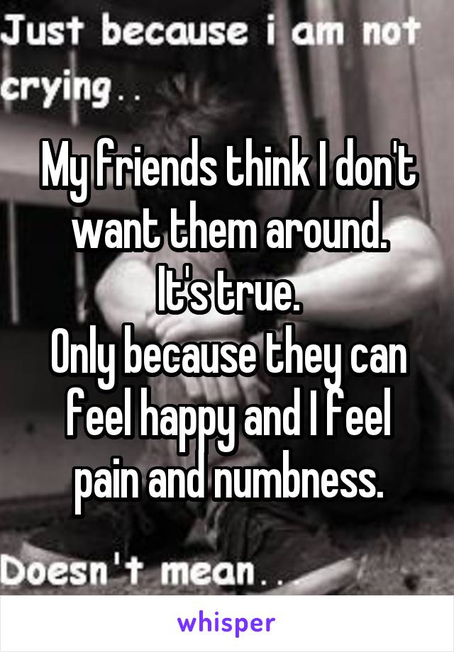 My friends think I don't want them around.
It's true.
Only because they can feel happy and I feel pain and numbness.