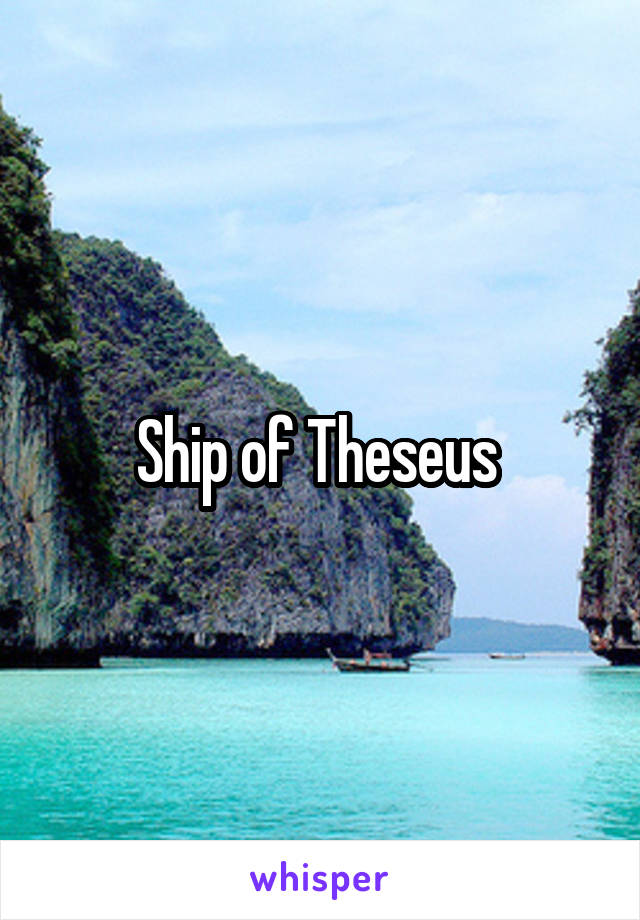 Ship of Theseus 