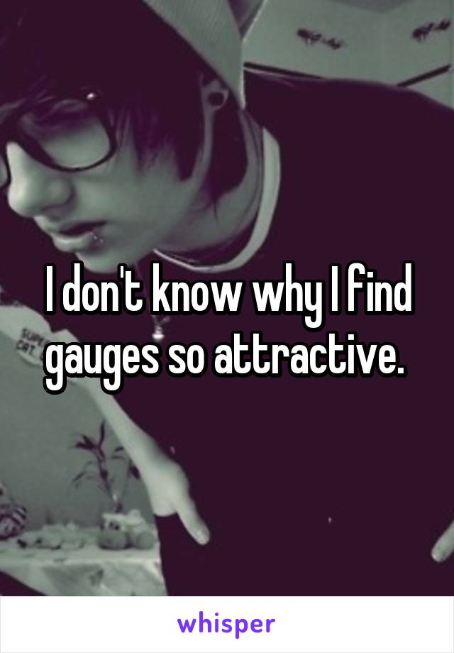 I don't know why I find gauges so attractive. 