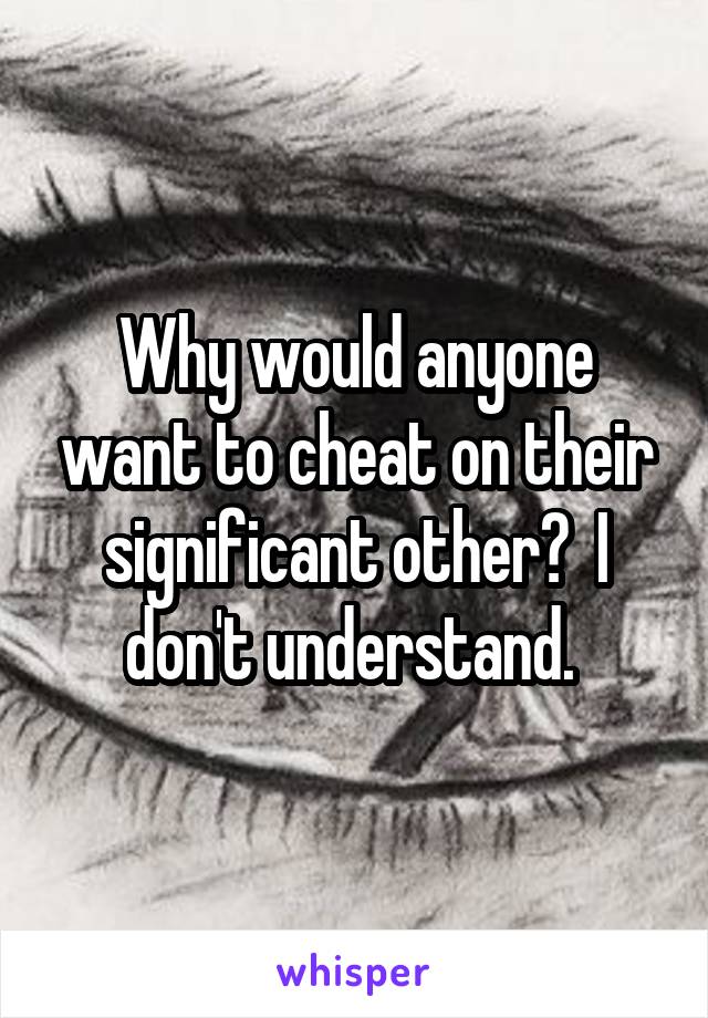 Why would anyone want to cheat on their significant other?  I don't understand. 