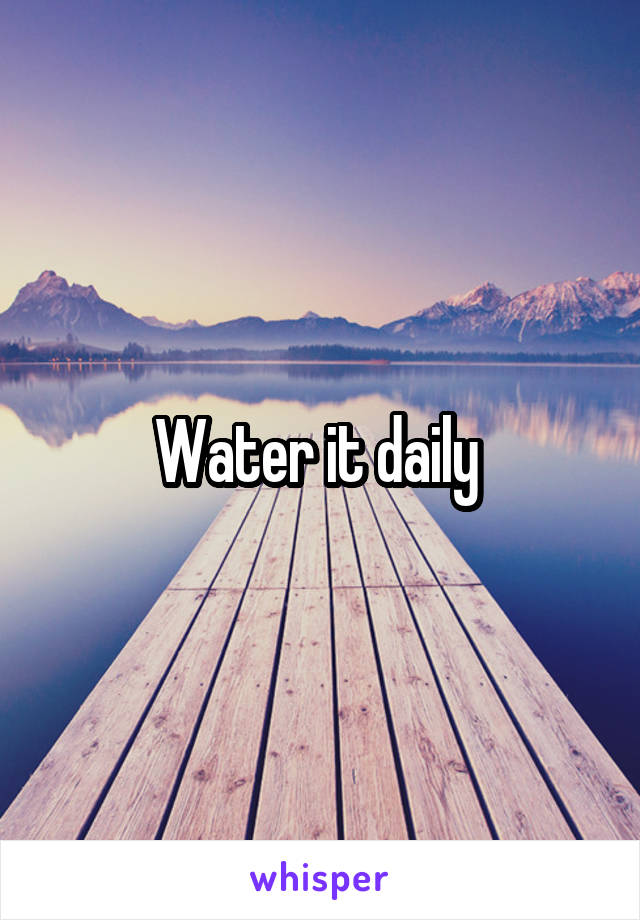 Water it daily 