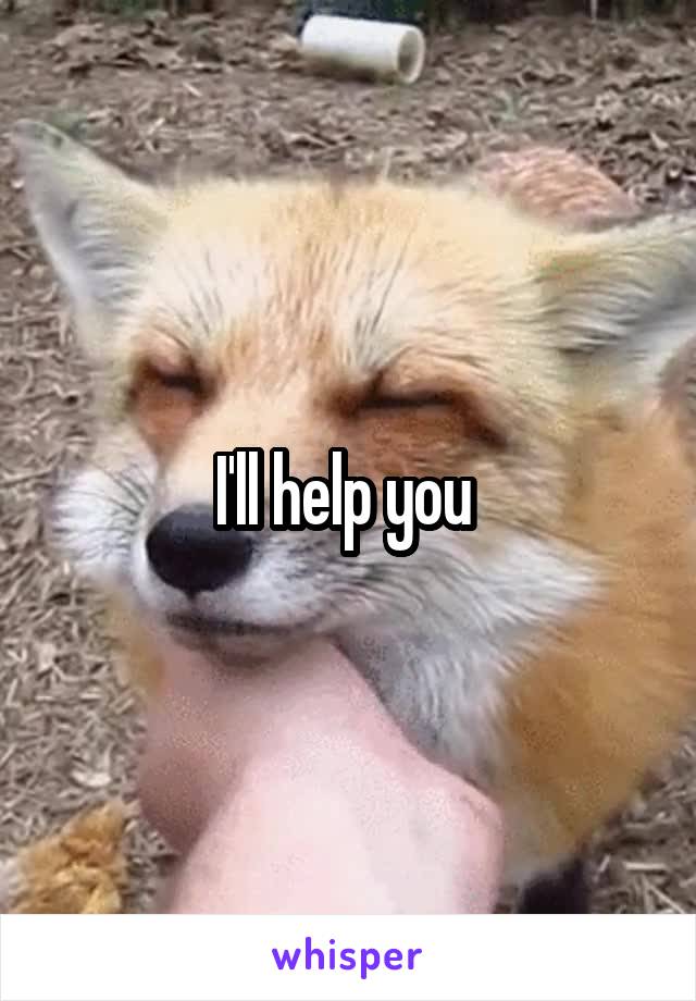 I'll help you 