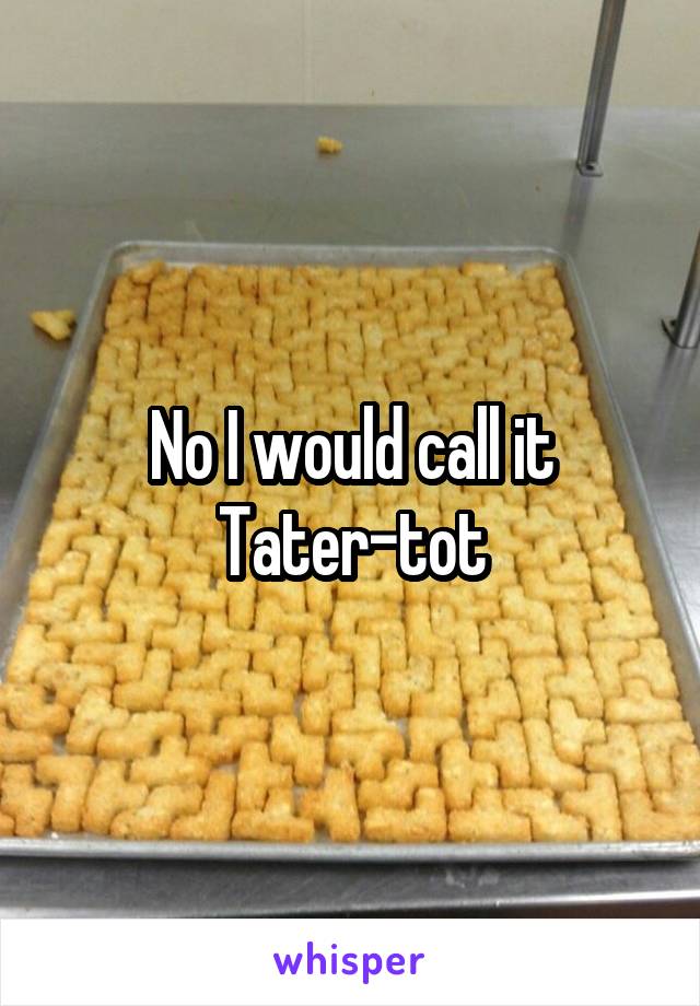 No I would call it Tater-tot