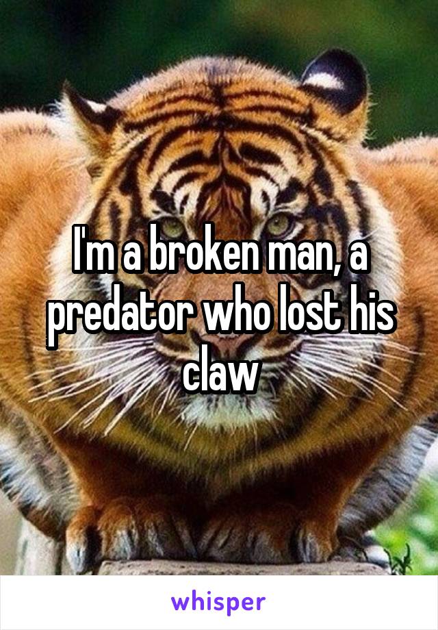 I'm a broken man, a predator who lost his claw