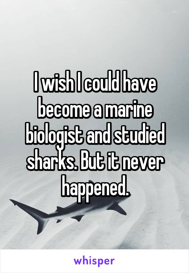 I wish I could have become a marine biologist and studied sharks. But it never happened.
