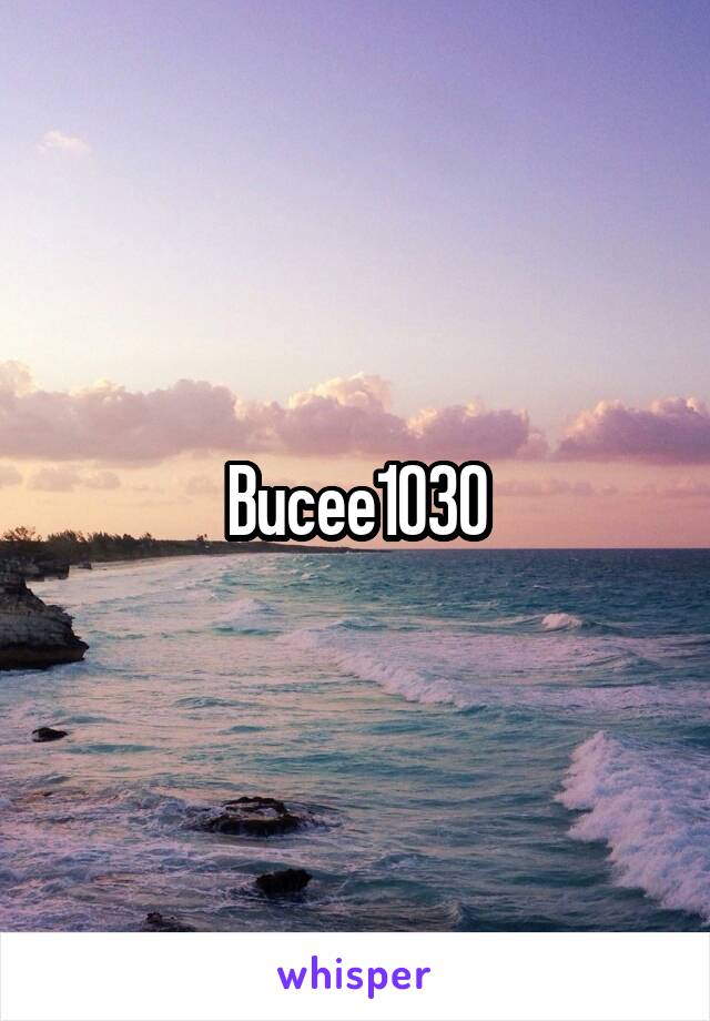 Bucee1030