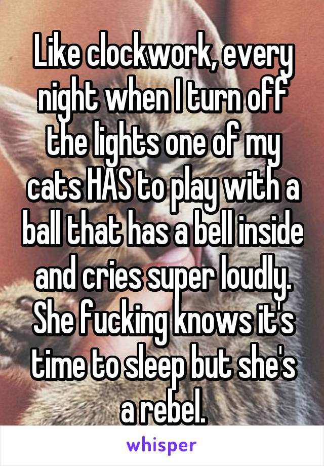 Like clockwork, every night when I turn off the lights one of my cats HAS to play with a ball that has a bell inside and cries super loudly. She fucking knows it's time to sleep but she's a rebel.