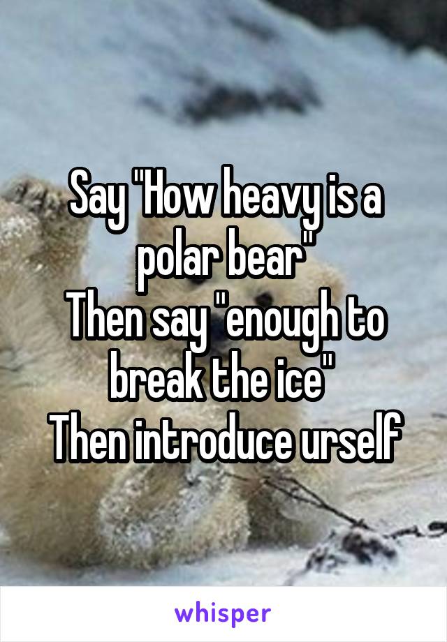Say "How heavy is a polar bear"
Then say "enough to break the ice" 
Then introduce urself