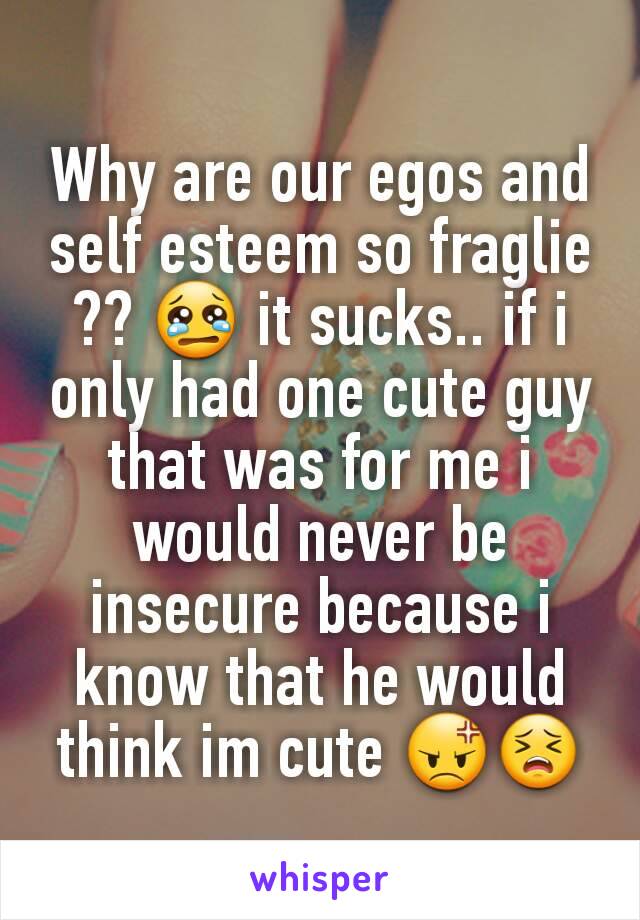 Why are our egos and self esteem so fraglie ?? 😢 it sucks.. if i only had one cute guy that was for me i would never be insecure because i know that he would think im cute 😡😣