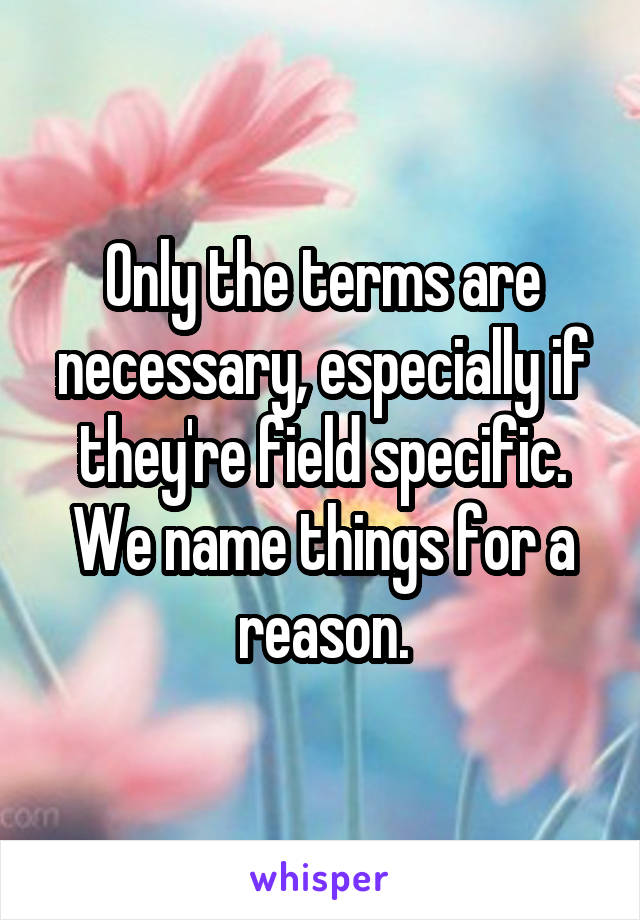 Only the terms are necessary, especially if they're field specific. We name things for a reason.