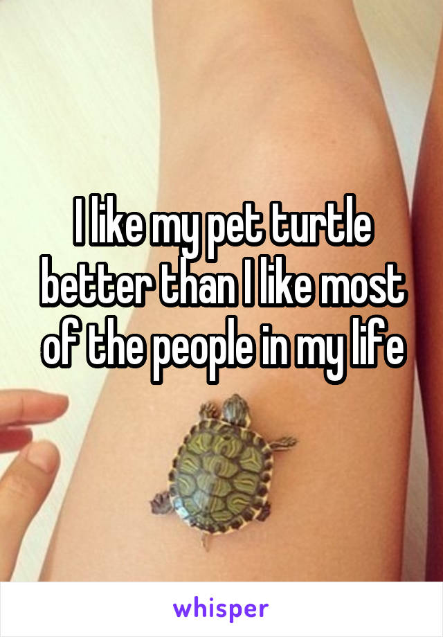 I like my pet turtle better than I like most of the people in my life
