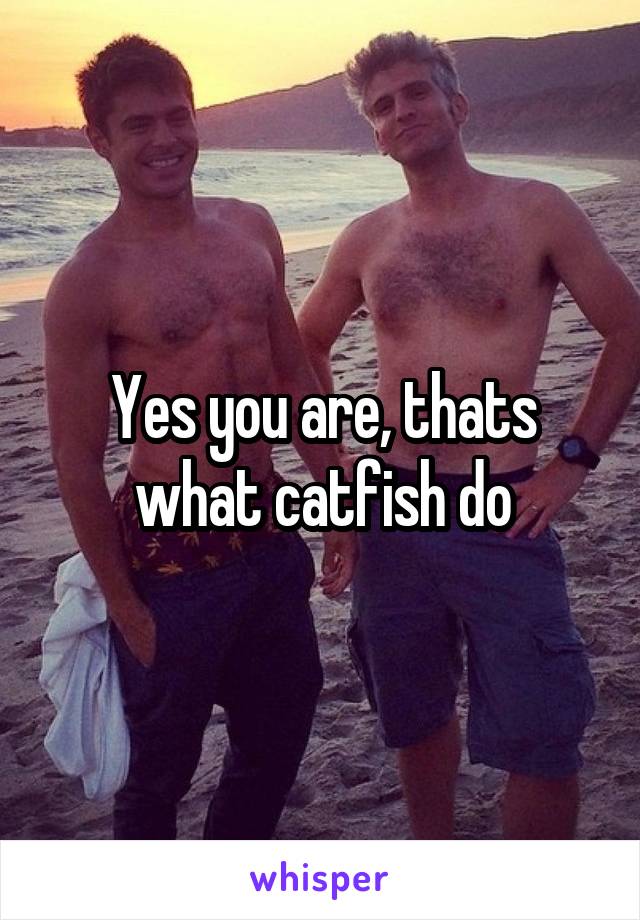 Yes you are, thats what catfish do