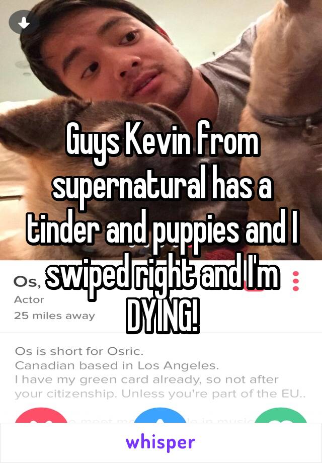 Guys Kevin from supernatural has a tinder and puppies and I swiped right and I'm DYING!