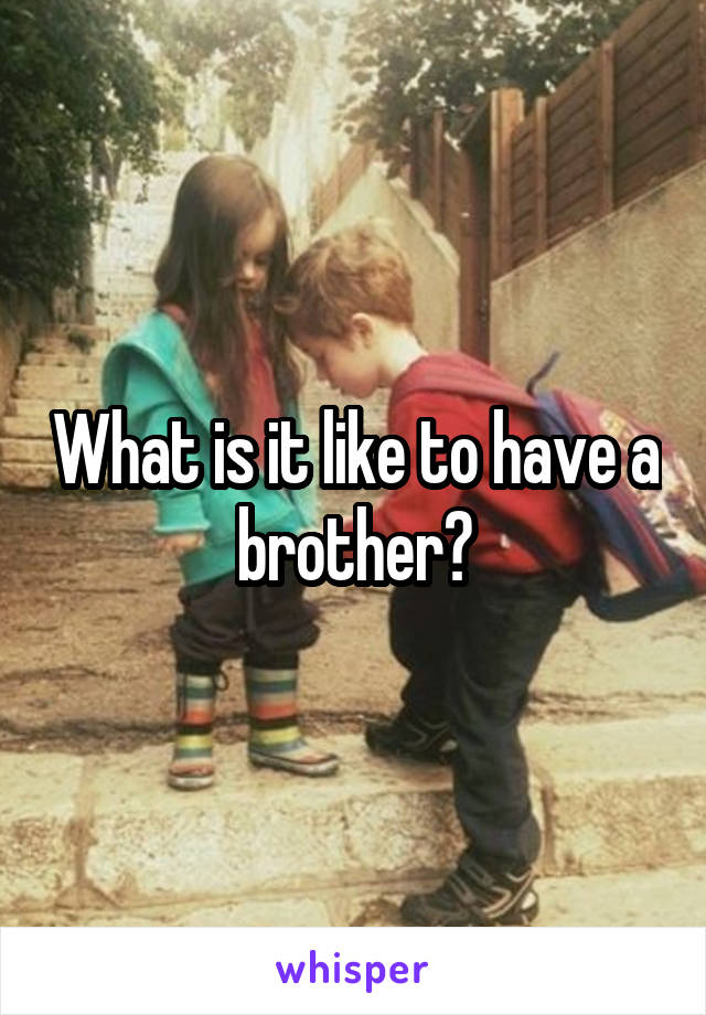 What is it like to have a brother?