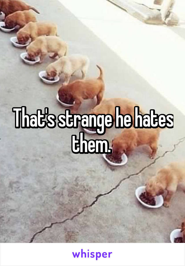 That's strange he hates them. 