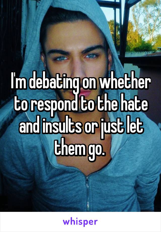 I'm debating on whether to respond to the hate and insults or just let them go. 