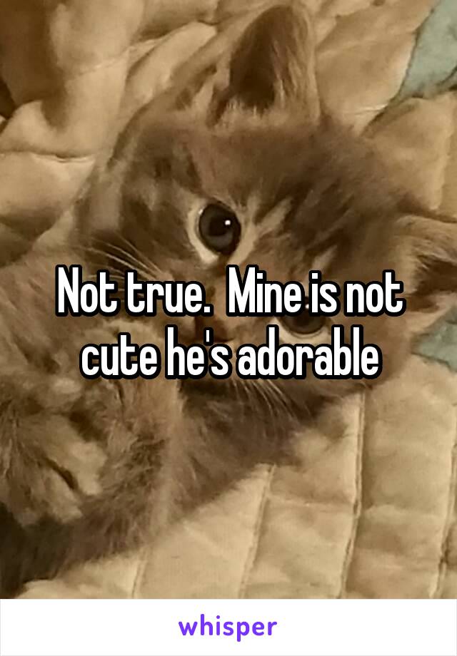 Not true.  Mine is not cute he's adorable
