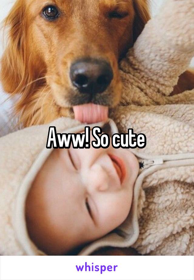 Aww! So cute 